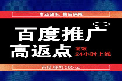 百度平台推广案例：低成本营销的成功之道